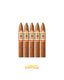 Ashton Symmetry 5 Pack